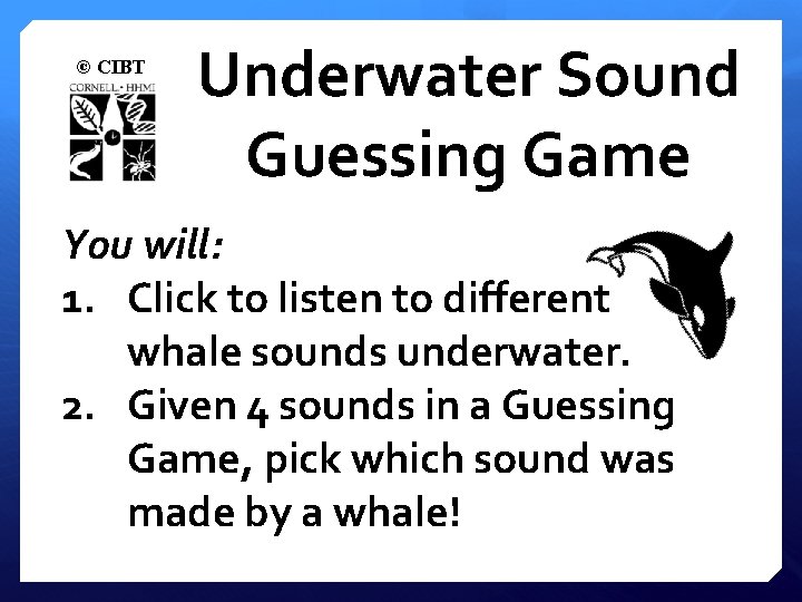 © CIBT Underwater Sound Guessing Game You will: 1. Click to listen to different