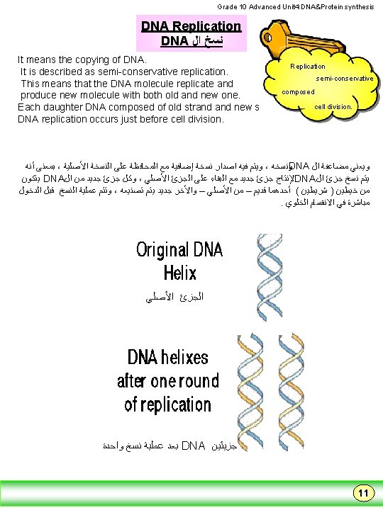 First semester Grade 10 Advanced Unit 4 DNA