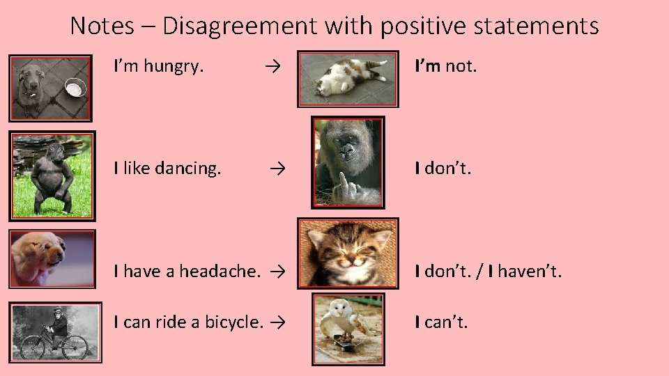 Notes – Disagreement with positive statements I’m hungry. → I’m not. I like dancing.