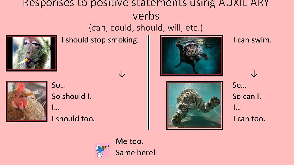 Responses to positive statements using AUXILIARY verbs (can, could, should, will, etc. ) I