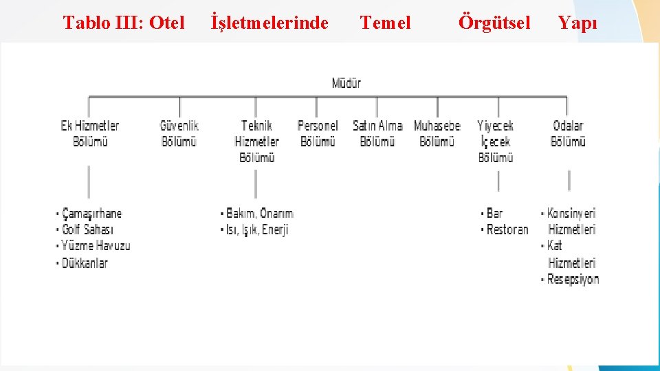 Tablo III: Otel İşletmelerinde Temel Örgütsel Yapı 