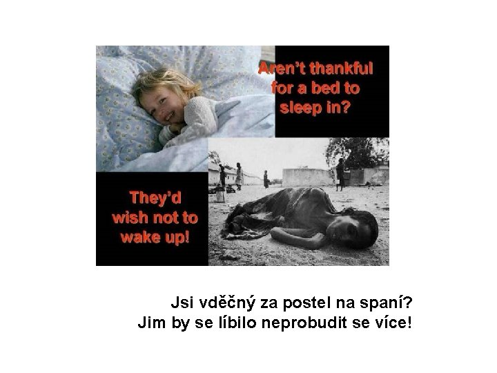 Jsi vděčný za postel na spaní? Jim by se líbilo neprobudit se více! 