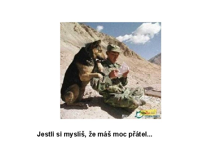 Jestli si myslíš, že máš moc přátel. . . 