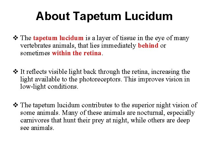 About Tapetum Lucidum v The tapetum lucidum is a layer of tissue in the