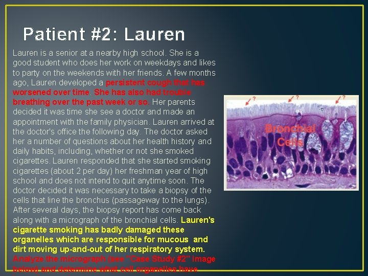 Patient #2: Lauren is a senior at a nearby high school. She is a