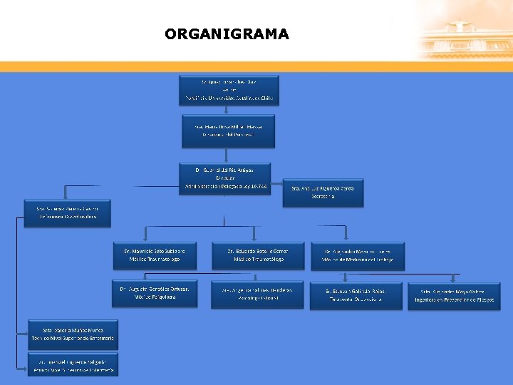 ORGANIGRAMA 