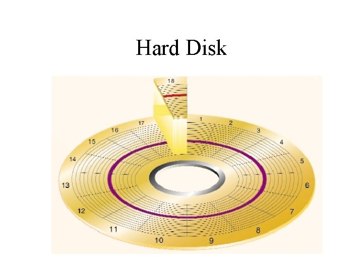 Hard Disk 