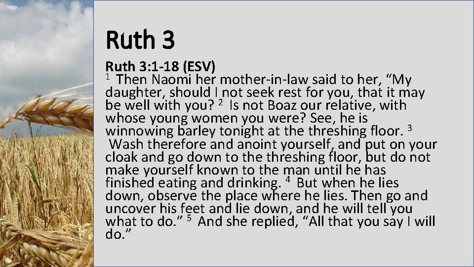 Ruth 3: 1 -18 (ESV) 1 Then Naomi her mother-in-law said to her, “My