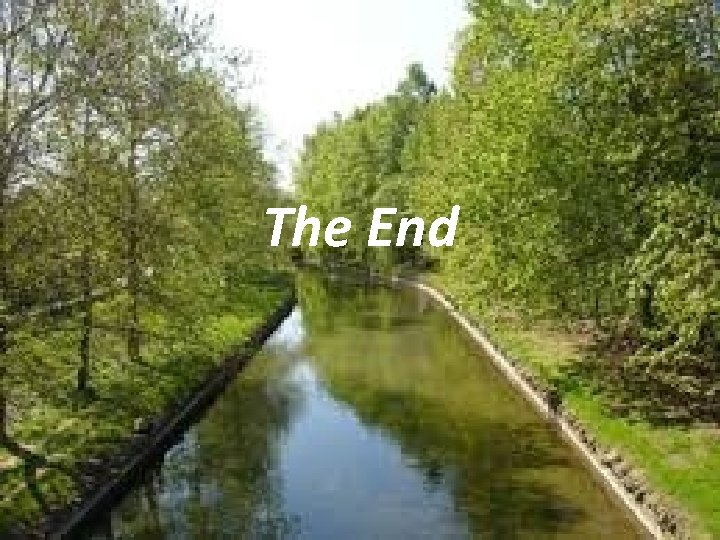 The End 