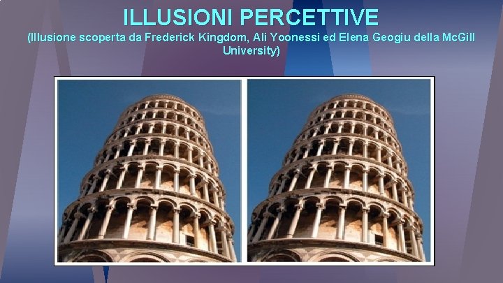 ILLUSIONI PERCETTIVE (Illusione scoperta da Frederick Kingdom, Ali Yoonessi ed Elena Geogiu della Mc.