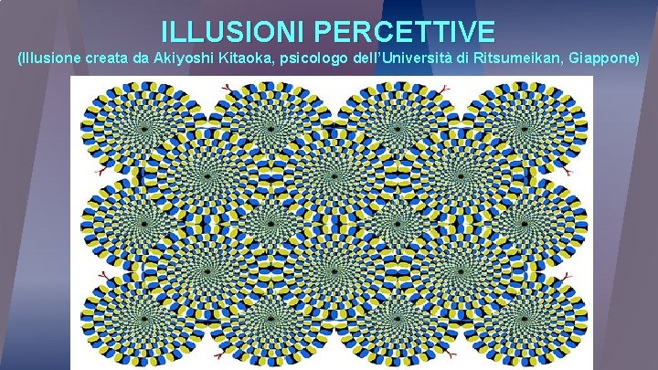 ILLUSIONI PERCETTIVE (Illusione creata da Akiyoshi Kitaoka, psicologo dell’Università di Ritsumeikan, Giappone) 