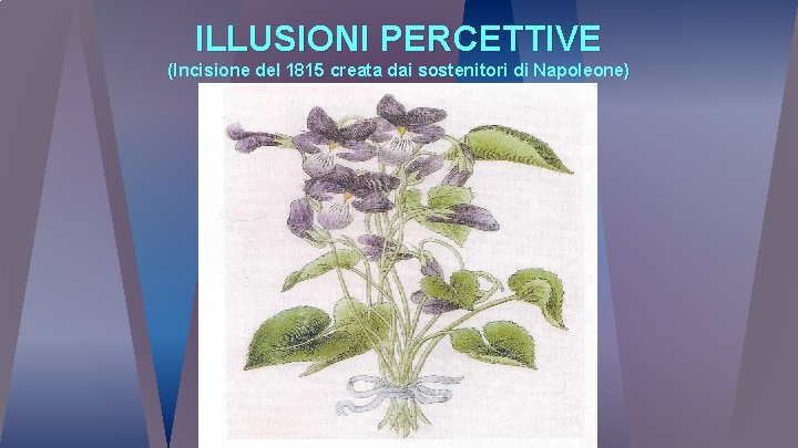 ILLUSIONI PERCETTIVE (Incisione del 1815 creata dai sostenitori di Napoleone) 