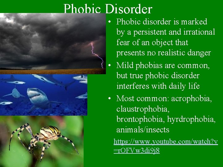 Phobic Disorder • Phobic disorder is marked by a persistent and irrational fear of
