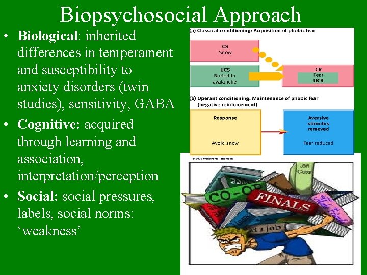 Biopsychosocial Approach • Biological: inherited differences in temperament and susceptibility to anxiety disorders (twin