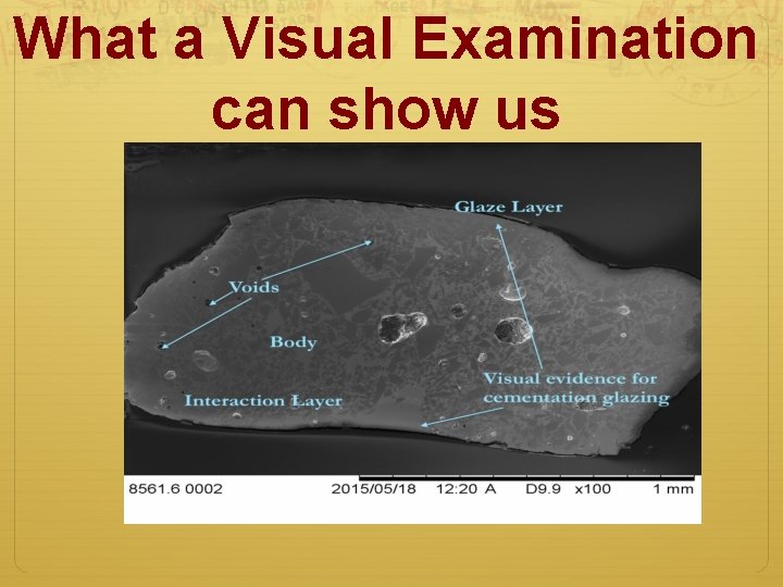 What a Visual Examination can show us 