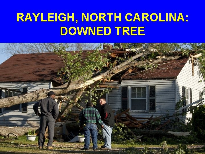 RAYLEIGH, NORTH CAROLINA: DOWNED TREE 