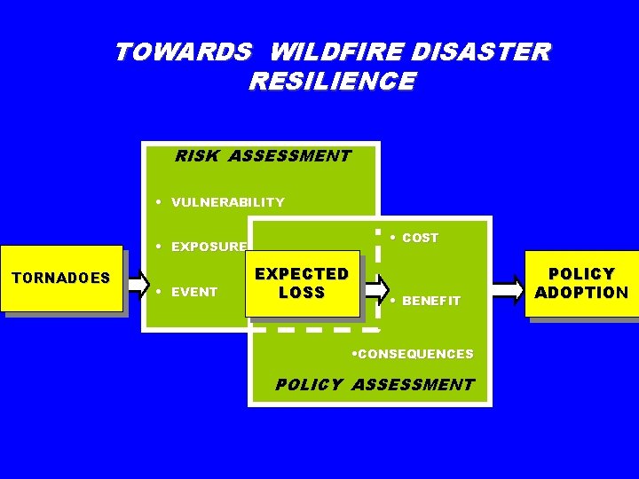 TOWARDS WILDFIRE DISASTER RESILIENCE RISK ASSESSMENT • VULNERABILITY • COST • EXPOSURE TORNADOES •
