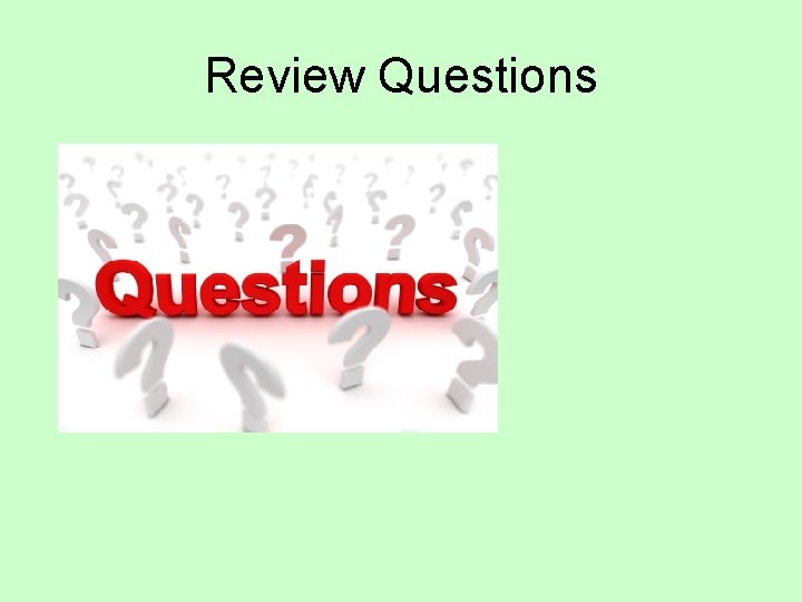 Review Questions 