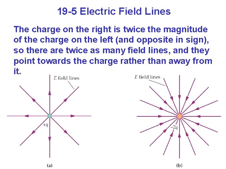 19 -5 Electric Field Lines The charge on the right is twice the magnitude