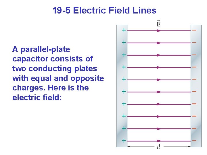 19 -5 Electric Field Lines A parallel-plate capacitor consists of two conducting plates with