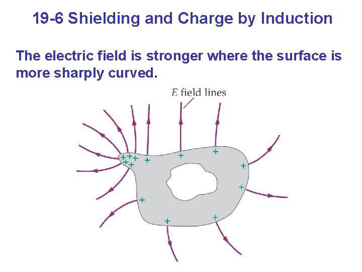 19 -6 Shielding and Charge by Induction The electric field is stronger where the