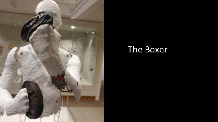 The Boxer 