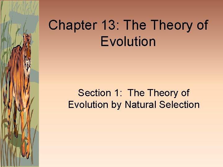 Chapter 13: Theory of Evolution Section 1: Theory of Evolution by Natural Selection 