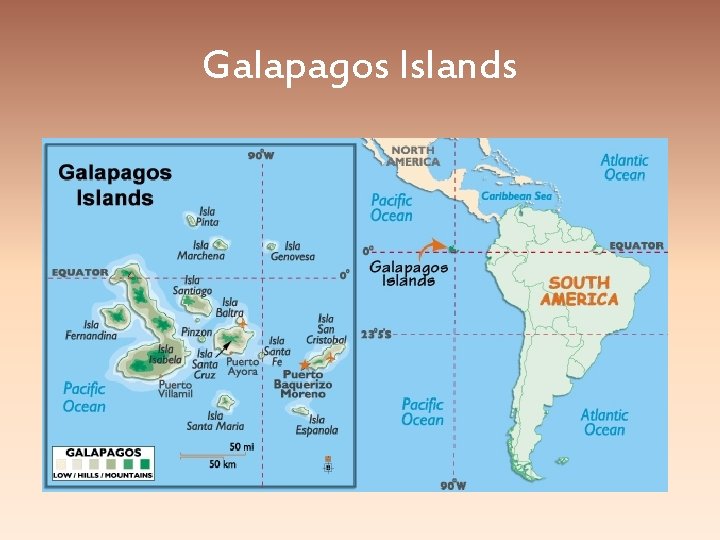 Galapagos Islands Galapagos Islands