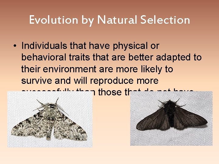 Evolution by Natural Selection • Individuals that have physical or behavioral traits that are