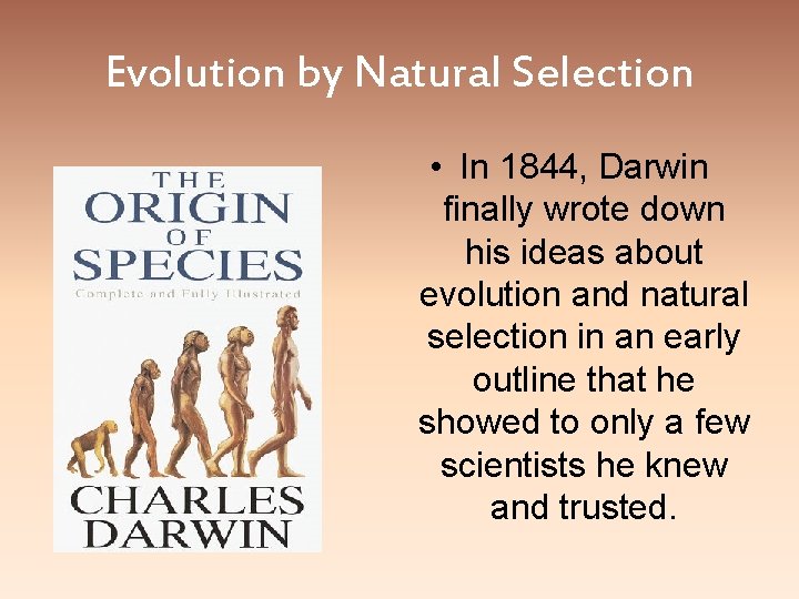 Evolution by Natural Selection • In 1844, Darwin finally wrote down his ideas about