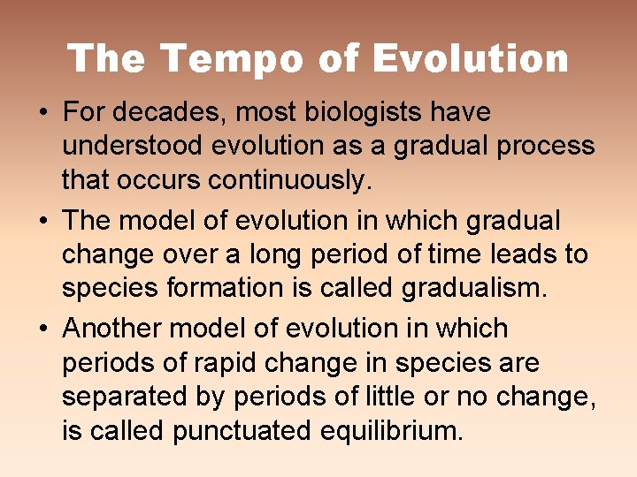 The Tempo of Evolution • For decades, most biologists have understood evolution as a