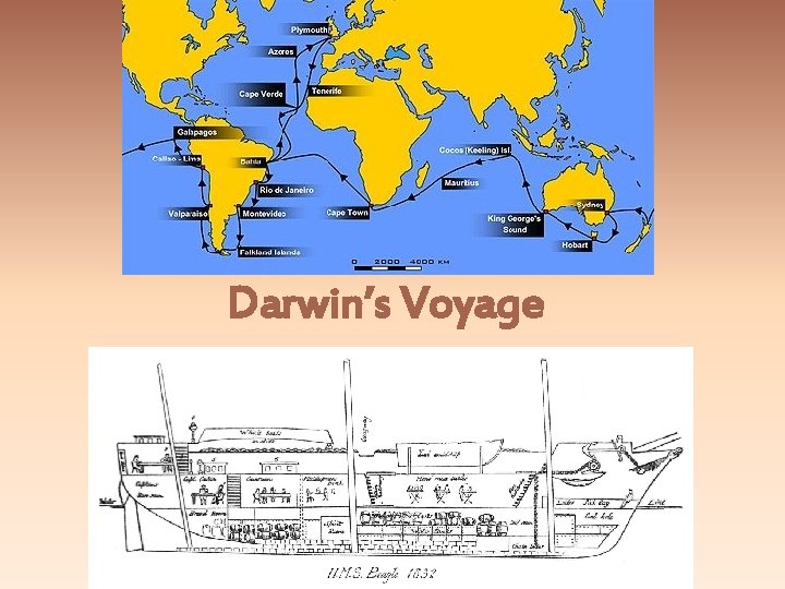 Darwin’s Voyage 