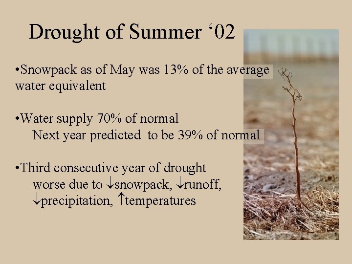 Drought of Summer ‘ 02 • Snowpack as of May was 13% of the