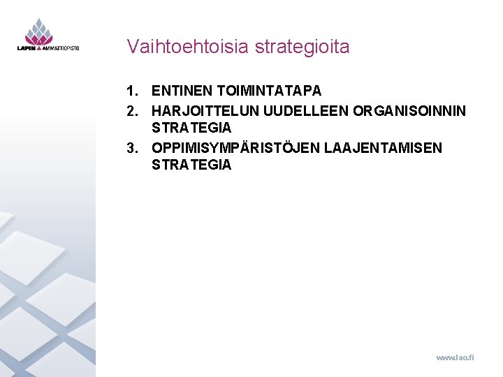 Vaihtoehtoisia strategioita 1. ENTINEN TOIMINTATAPA 2. HARJOITTELUN UUDELLEEN ORGANISOINNIN STRATEGIA 3. OPPIMISYMPÄRISTÖJEN LAAJENTAMISEN STRATEGIA