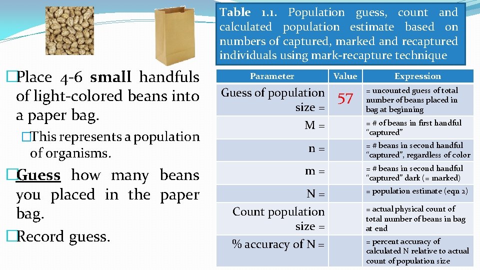Table 1. 1. Population guess, count and calculated population estimate based on numbers of