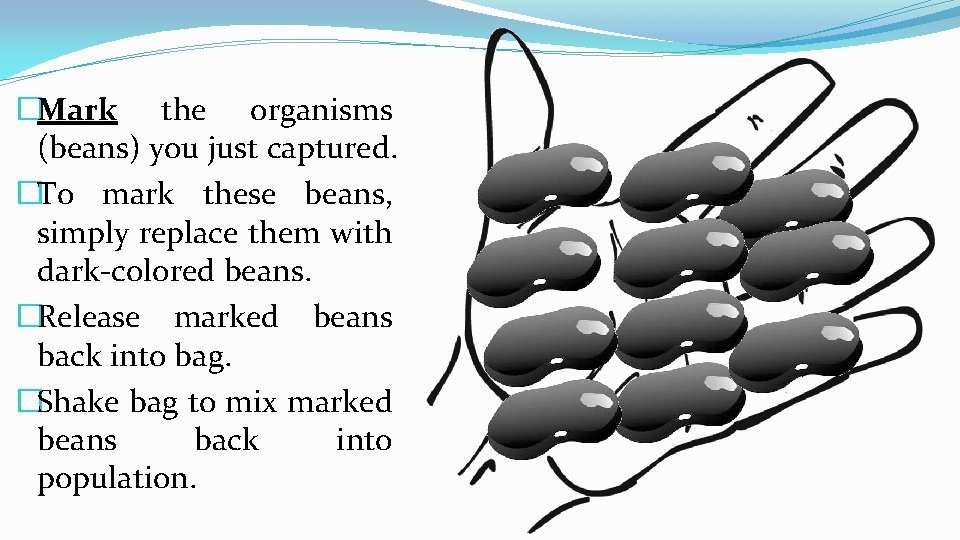 �Mark the organisms (beans) you just captured. �To mark these beans, simply replace them