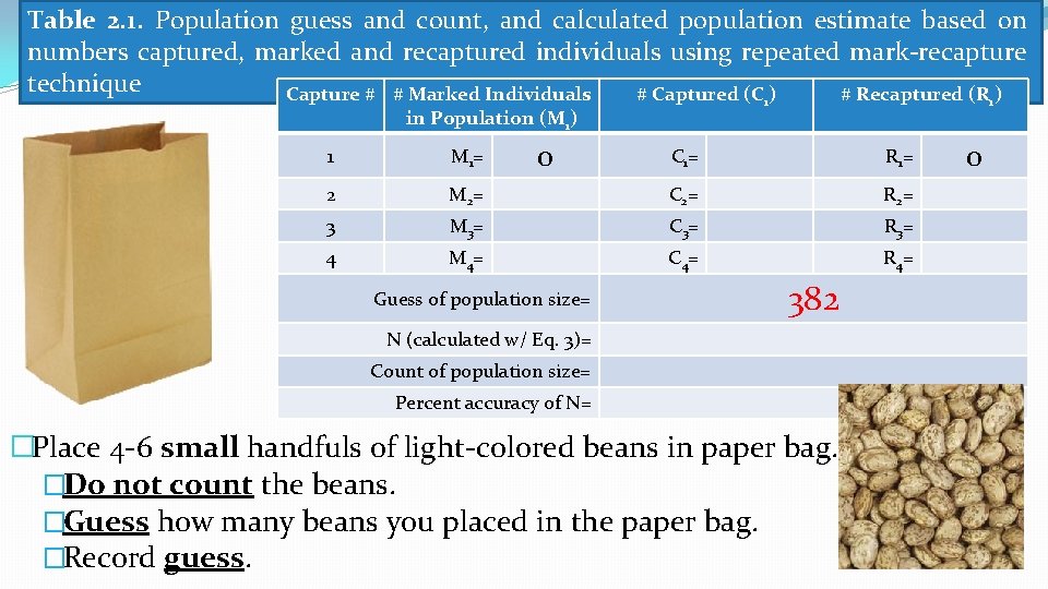 Table 2. 1. Population guess and count, and calculated population estimate based on numbers