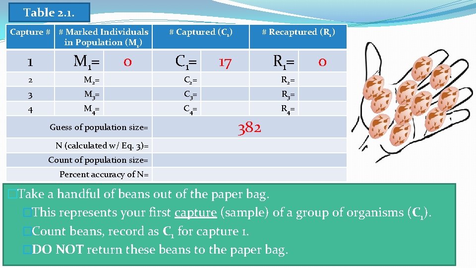 Table 2. 1. Capture # # Marked Individuals in Population (M 1) 0 #