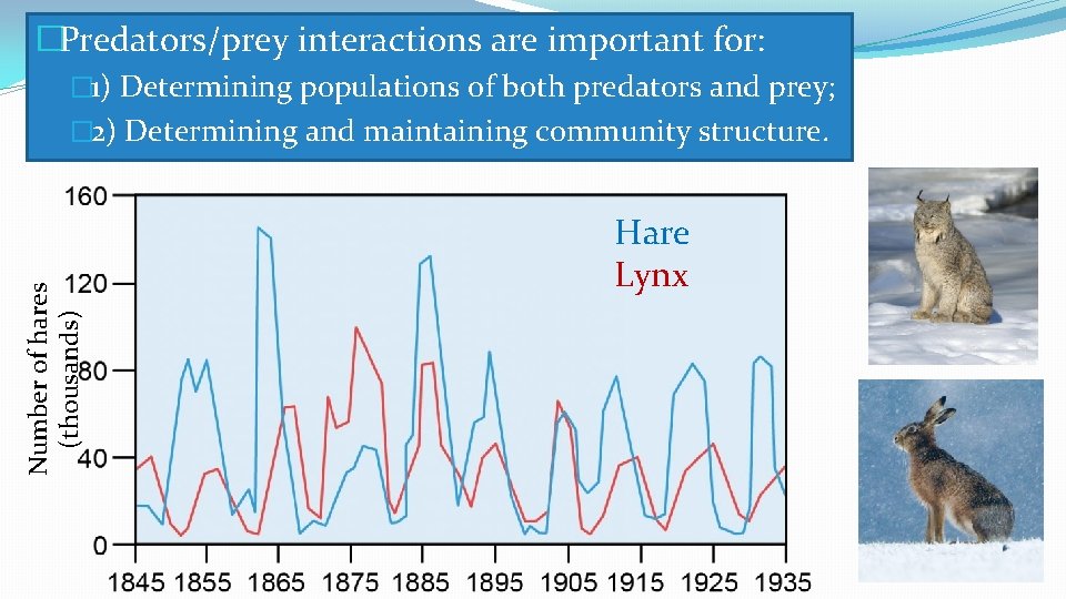 �Predators/prey interactions are important for: � 1) Determining populations of both predators and prey;