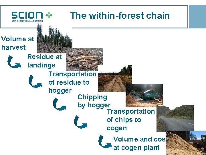 The within-forest chain Volume at harvest Residue at landings Transportation of residue to hogger