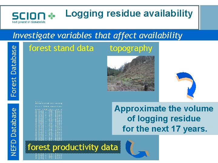 Logging residue availability NEFD Database Forest Database Investigate variables that affect availability forest stand