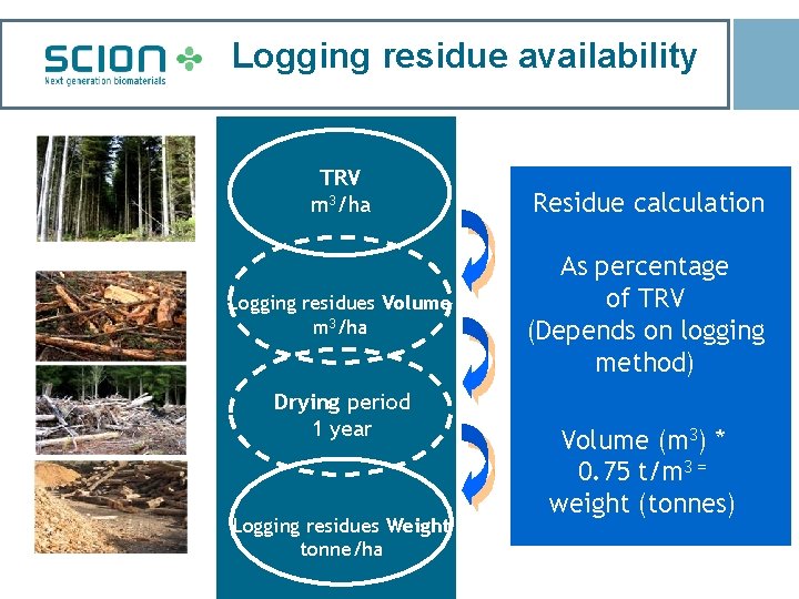 Logging residue availability TRV m 3/ha Logging residues Volume m 3/ha Drying period 1