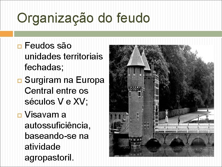 Organização do feudo Feudos são unidades territoriais fechadas; Surgiram na Europa Central entre os