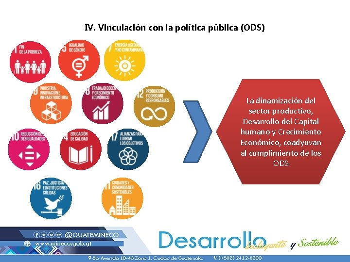 IV. Vinculación con la política pública (ODS) La dinamización del sector productivo, Desarrollo del