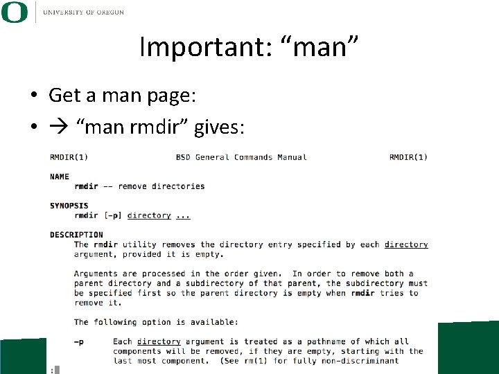 Important: “man” • Get a man page: • “man rmdir” gives: 