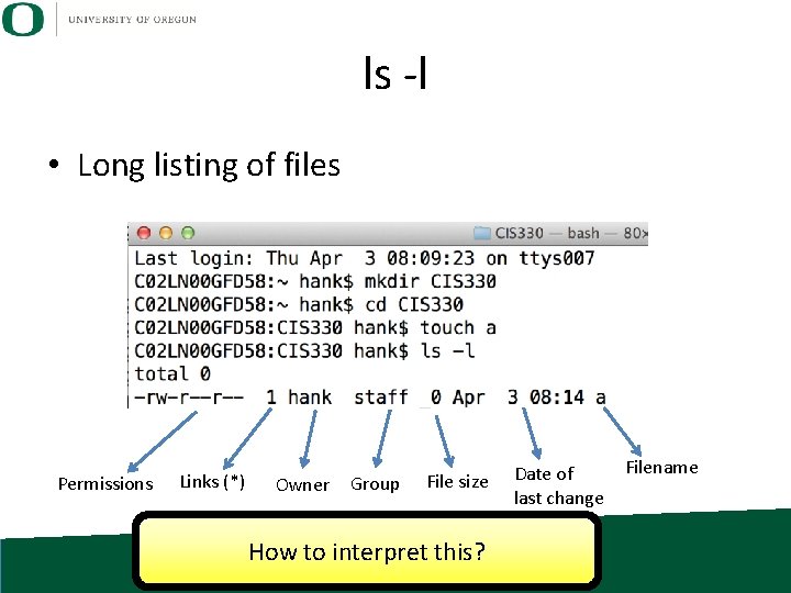 ls -l • Long listing of files Permissions Links (*) Owner Group File size