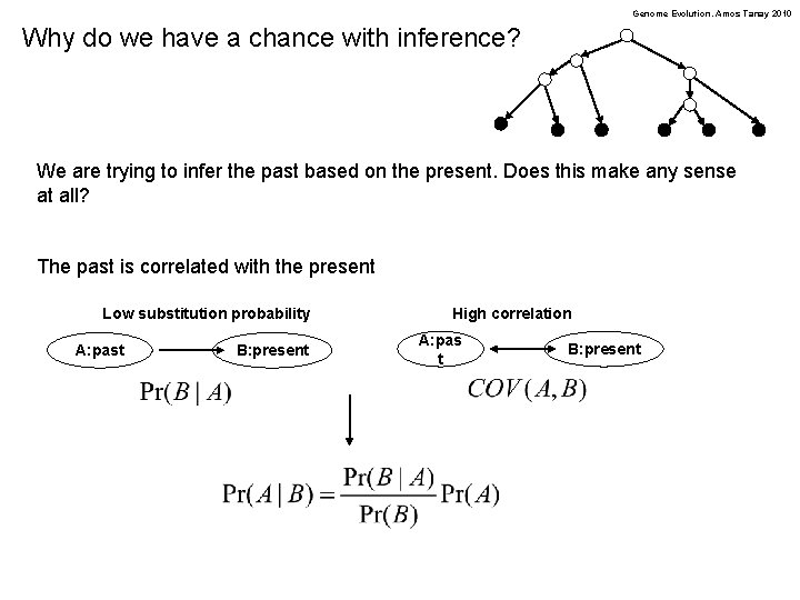 Genome Evolution. Amos Tanay 2010 Why do we have a chance with inference? We