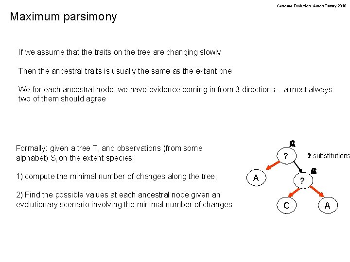 Genome Evolution. Amos Tanay 2010 Maximum parsimony If we assume that the traits on