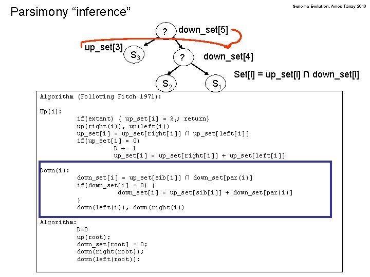 Genome Evolution. Amos Tanay 2010 Parsimony “inference” ? up_set[3] S 3 down_set[5] ? S