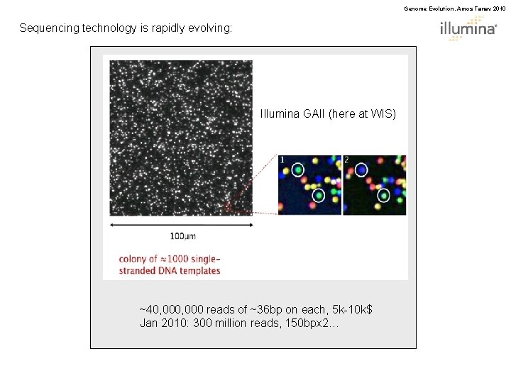 Genome Evolution. Amos Tanay 2010 Sequencing technology is rapidly evolving: Illumina GAII (here at
